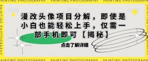 漫改头像项目分解,即使是小白也能轻松上手,仅需一部手机即可【揭秘】|淘骐网赚资源库