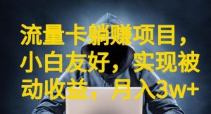 流量卡躺赚项目，小白友好，开设后台，实现被动收益，只要出卡，就能一直赚钱，利润高昂【揭秘】|淘骐网赚资源库