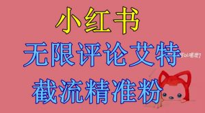 小红书无限评论艾特截流精准粉(软件+教程)-第一资源库