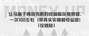让马扁子闻风丧胆的终极版反撸教程,一次100左右(带真实实操和收益图)【仅揭秘】|淘骐网赚资源库