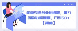 闲鱼引流创业粉课程,暴力引创业粉课程,日引50+【揭秘】|淘骐网赚资源库