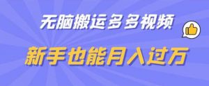 无脑搬运多多视频，新手也能月入过万【揭秘】|淘骐网赚资源库