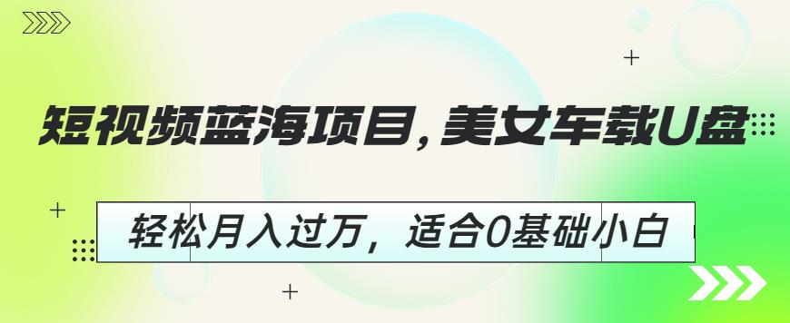 短视频蓝海项目,美女车载U盘,轻松月入过万,适合0基础小白【揭秘】|淘骐网赚资源库