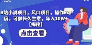 B站小说项目，风口项目，操作0难度，可做长久生意，年入10W+【揭秘】|淘骐网赚资源库