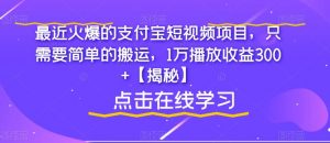 最近火爆的支付宝短视频项目，只需要简单的搬运，1万播放收益300+【揭秘】|第一资源库