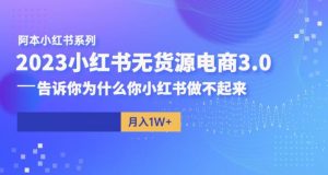 阿本小红书无货源电商3.0,告诉你为什么你小红书做不起来|淘骐网赚资源库