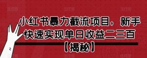 小红书暴力截流项目，新手快速实现单日收益二三百【仅揭秘】|淘骐网赚资源库