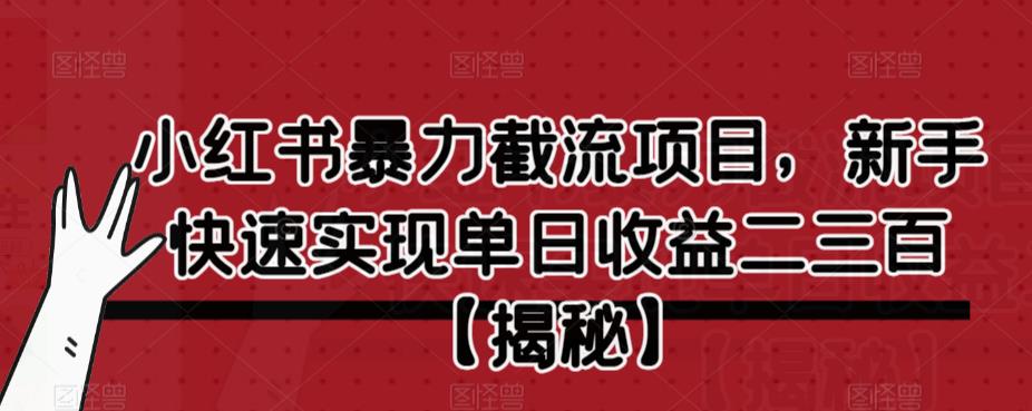 小红书暴力截流项目，新手快速实现单日收益二三百【仅揭秘】|淘骐网赚资源库