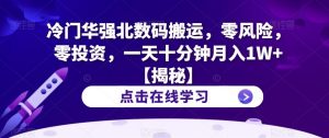 冷门华强北数码搬运,零风险,零投资,一天十分钟月入1W+【揭秘】|淘骐网赚资源库
