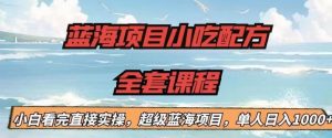 蓝海项目小吃配方全套课程,小白看完直接实操,单人日入1000+【揭秘】|淘骐网赚资源库
