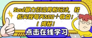 Soul暴力引流男粉玩法,轻松实现每天500+收益!【揭秘】|淘骐网赚资源库