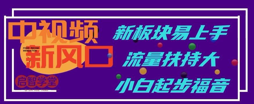 中视频新风口，新板块易上手，流量扶持大，小白起步福音【揭秘】|淘骐网赚资源库