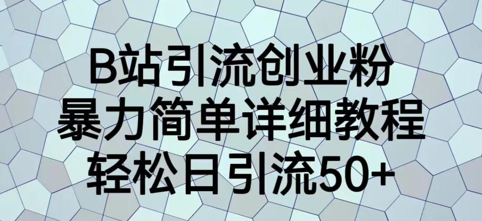 B站引流创业粉，暴力简单详细教程，轻松日引流50+【揭秘】|淘骐网赚资源库