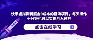 快手虚拟资料掘金0成本的蓝海项目,每天操作十分钟也可以实现月入过万【揭秘】|淘骐网赚资源库