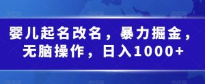 婴儿起名改名，暴力掘金，无脑操作，日入1000+【揭秘】|淘骐网赚资源库