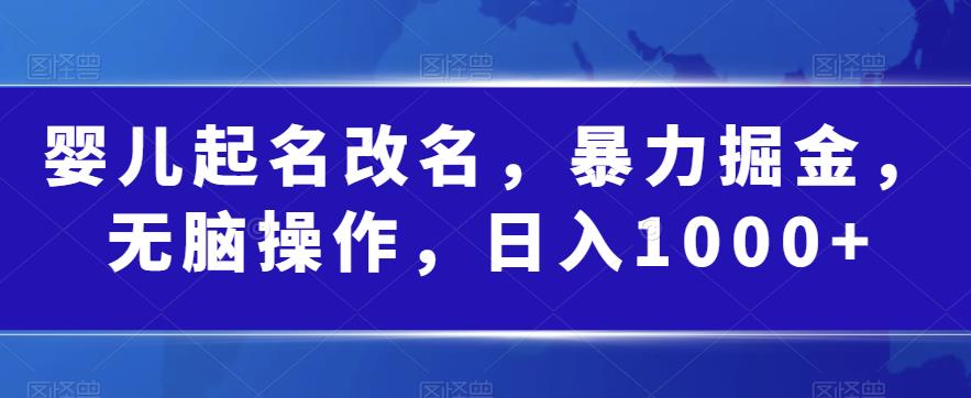婴儿起名改名，暴力掘金，无脑操作，日入1000+【揭秘】|淘骐网赚资源库