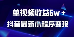抖音最新小程序变现项目,单视频收益6w+,小白可做【揭秘】|第一资源库