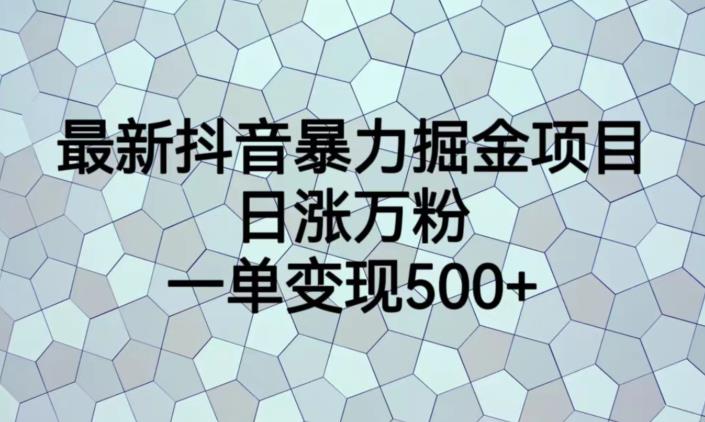 最新抖音暴力掘金项目，日涨万粉，一单变现500+【揭秘】|淘骐网赚资源库