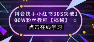 抖音快手小红书30S突破100W粉丝教程【揭秘】|淘骐网赚资源库