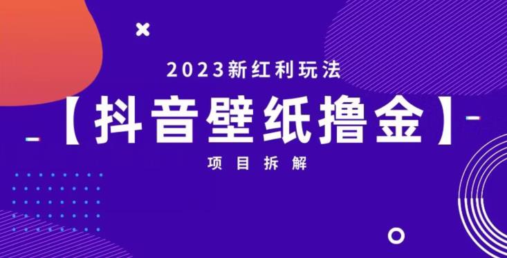 抖音壁纸小程序创作者撸金项目，2023新红利玩法【项目拆解】|淘骐网赚资源库