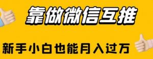 靠做微信互推，新手小白也能月入过万【揭秘】|淘骐网赚资源库