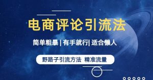 简单粗暴野路子引流-电商平台评论引流大法，适合懒人有手就行【揭秘】|淘骐网赚资源库