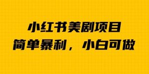 外面卖1980的小红书美剧项目,单日收益1000+,小众暴利的赛道【揭秘】|淘骐网赚资源库