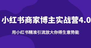 【推荐】小红书商家博主精准引流实战营4.0，用小红书放大你的生意势能|淘骐网赚资源库