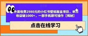 外面收费2980元的小红书壁纸掘金项目，单日收益破1000+，一部手机即可操作【揭秘】|淘骐网赚资源库