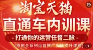 天问电商·2023淘宝天猫直通车内训课,零基础学起直通车运营实操课程|淘骐网赚资源库
