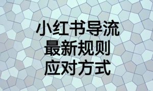 小红书导流最新规则应对方式【揭秘】|淘骐网赚资源库