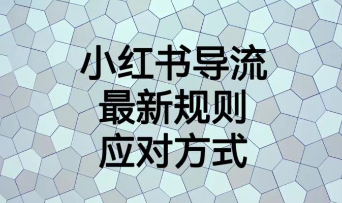 小红书导流最新规则应对方式【揭秘】|淘骐网赚资源库