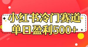 小红书冷门赛道,单日盈利500+【揭秘】|淘骐网赚资源库