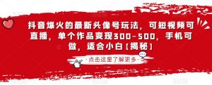 抖音爆火的最新头像号玩法,可短视频可直播,单个作品变现300-500,手机可做,适合小白【揭秘】|淘骐网赚资源库