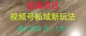 蓝海项目,视频号私域新玩法,暴力项目月入1万+【揭秘】|淘骐网赚资源库