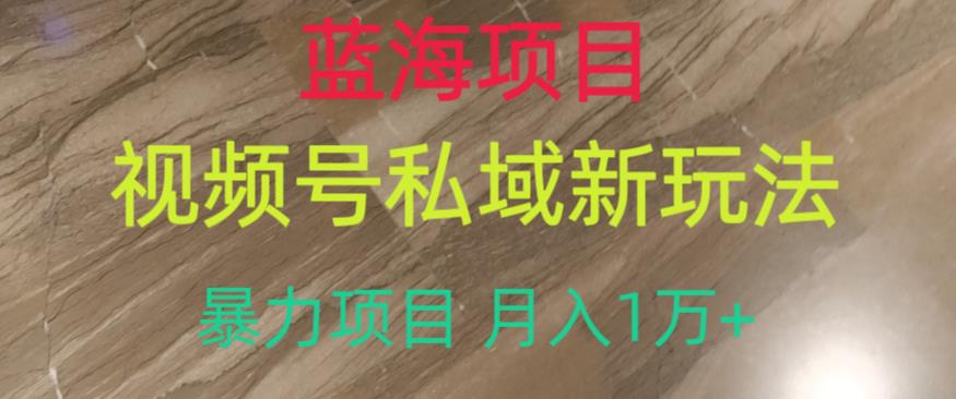 蓝海项目,视频号私域新玩法,暴力项目月入1万+【揭秘】|淘骐网赚资源库