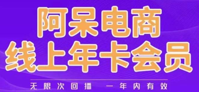 阿呆电商线上年会员,阿呆电商干货分享(更新中)|淘骐网赚资源库