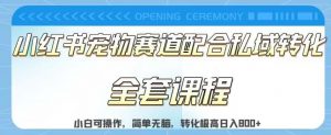 实测日入800的项目小红书宠物赛道配合私域转化玩法，适合新手小白操作，简单无脑【揭秘】|淘骐网赚资源库