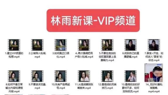 林雨新课VIP频道，玩赚私域/朋友圈/社群|淘骐网赚资源库