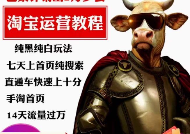 猫老师·淘系算法逆向解密,纯黑纯白玩法,七天上首页纯搜索,手淘首页14天流量过万|淘骐网赚资源库