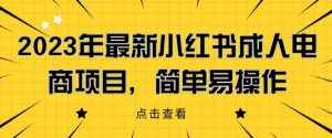 2023年最新小红书成人电商项目，简单易操作【详细教程】【揭秘】|淘骐网赚资源库
