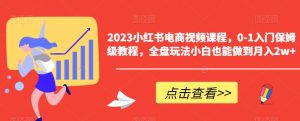 2023小红书电商视频课程,0-1入门保姆级教程,全盘玩法小白也能做到月入2w+|淘骐网赚资源库