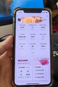 超级蓝海赛道保姆级教学,小红书无货源,无需实拍,如何做到日入1000+【揭秘】|淘骐网赚资源库