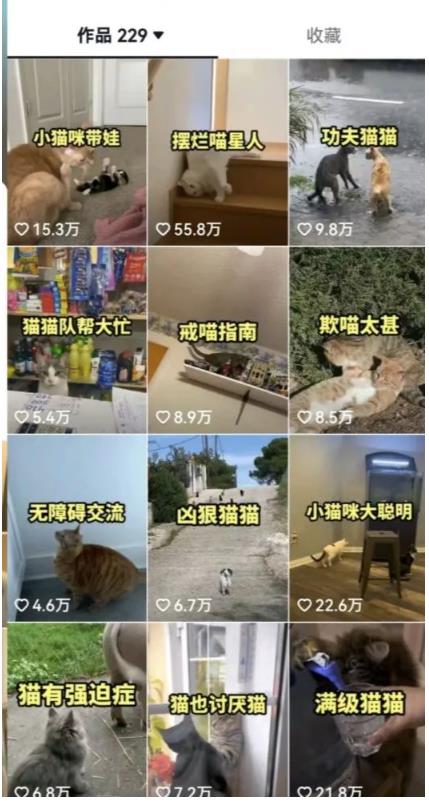 拆解:抖音盘点类中视频变现副业项目,视频版一条龙大解析分享给你|淘骐网赚资源库