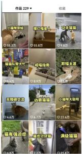 拆解抖音盘点类中视频变现副业项目,视频版一条龙大解析分享给你【视频课程】|淘骐网赚资源库