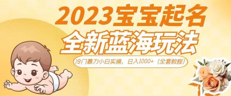 2023宝宝起名全新蓝海玩法,冷门暴力小白实操,日入1000+(全套教程)【揭秘】|淘骐网赚资源库