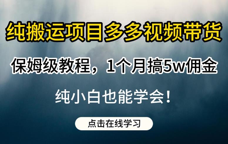 纯搬运项目多多视频带货保姆级教程,1个月搞5w佣金,纯小白也能学会【揭秘】|淘骐网赚资源库