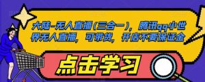 大陆-无人直播(三合一),腾讯qq小世界无人直播,可带货,开店不要保证金-第一资源库