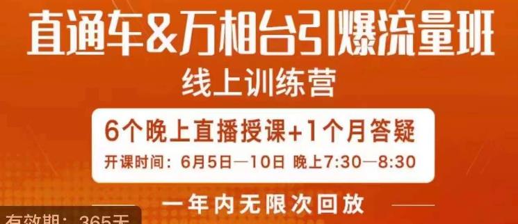 直通车&万相台引爆流量班,6天打通你开直通车·万相台的任督二脉|淘骐网赚资源库