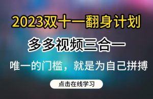 2023双十一翻身计划,多多视频带货三合一玩法教程【揭秘】|淘骐网赚资源库